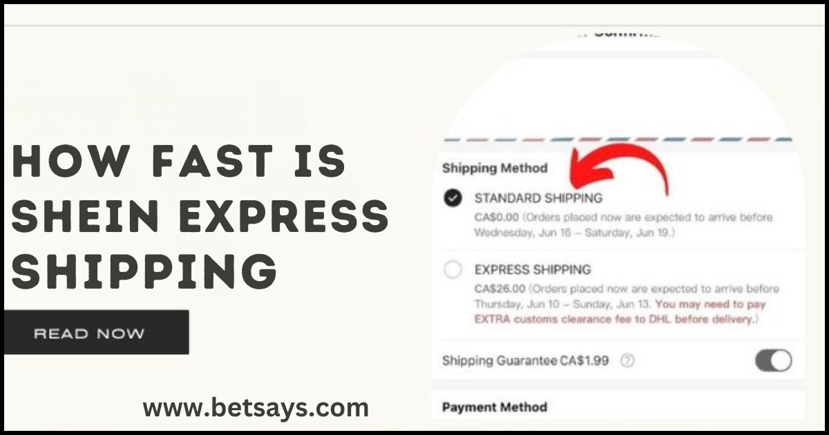 Shein express shipping