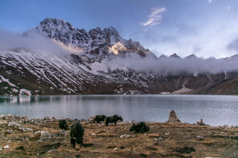 Gokyo Lakes Trek: Exploring Turquoise Gems amidst the Everest Peaks