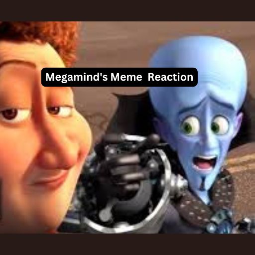 Megamind Memes 