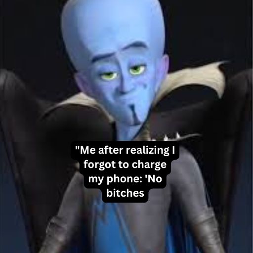 Megamind Memes 