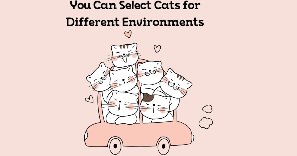 You Can Select Cats for Different Environments