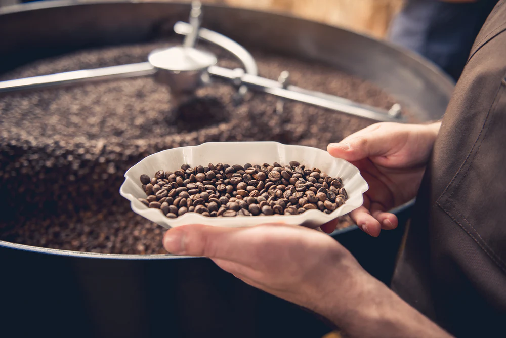 Exploring the Rich Flavours of Single Origin Coffee: What Makes It Special?