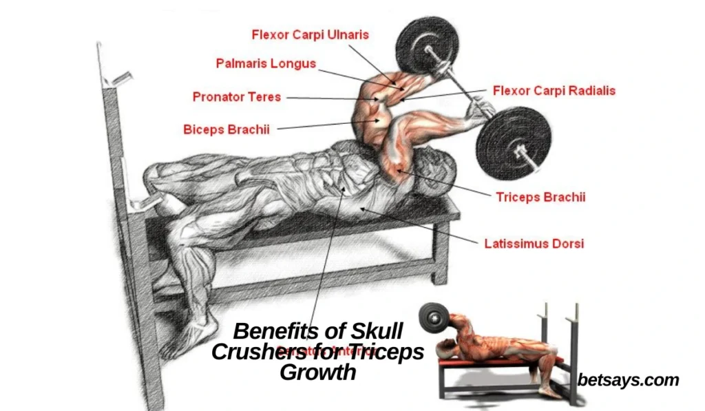 Build Insane Triceps by Doing Skull Crushers - Laz - Tymoff