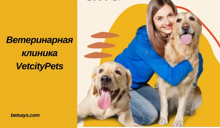 Bетеринарная клиника VetcityPets