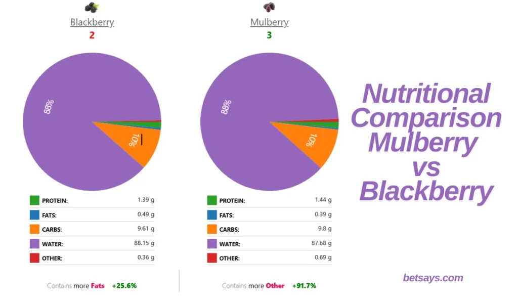 Mulberry vs Blackberry