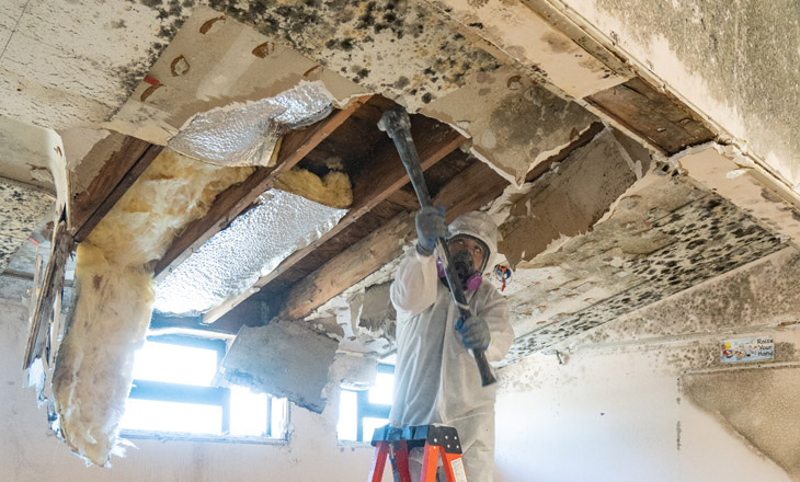 How Mold Remediation Services Help Prevent Health Risks?