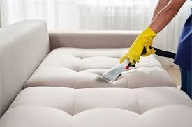 The Importance Of Professional Sofa Cleaning When To Call The Experts