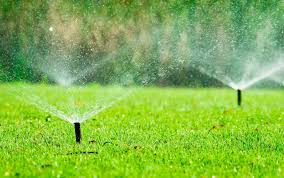 Keeping Your Green Spaces Thriving: Essential Irrigation Repair Tips